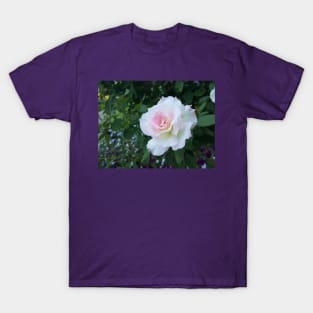 Perfect White Pink Rose, photography by Immortal Peaches T-Shirt